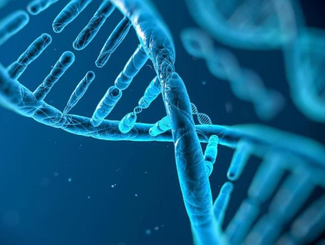 بحث يثبت أصول الشعب اللبناني!