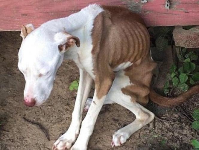 Main Highlight Image