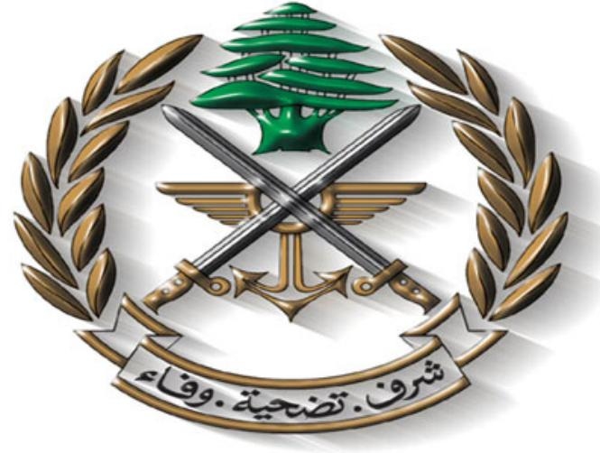 Army targets terrorists' positions in Ras Baalbek outskirts, Fekha