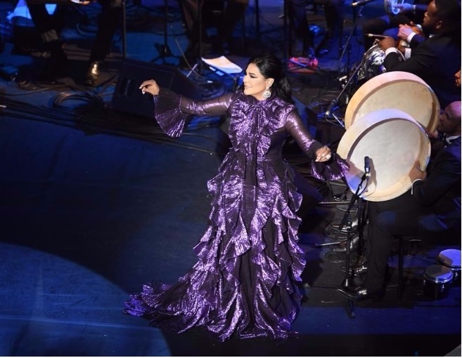 بالصورة: ثمن فستان أحلام يثير الضجة