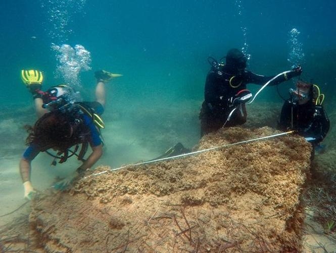 Main Highlight Image