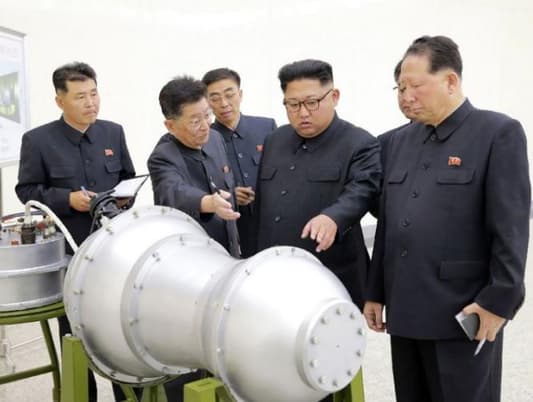 North Korea nuclear test 'extremely regrettable': UN watchdog