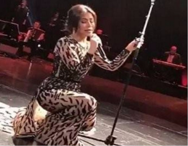 بالصورة: سقوط شيرين على المسرح يثير البلبلة