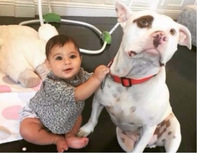 لماذا حذفت ريما فقيه هذا الفيديو؟