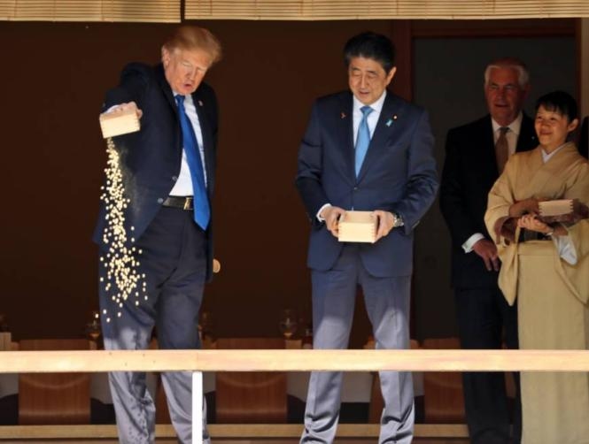 Main Highlight Image