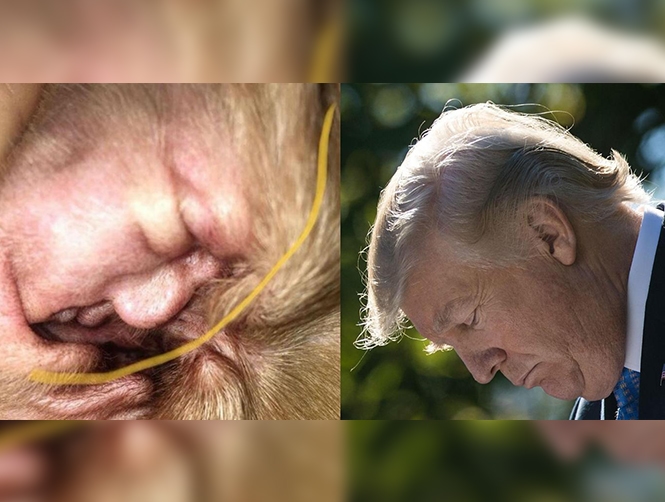 Main Highlight Image