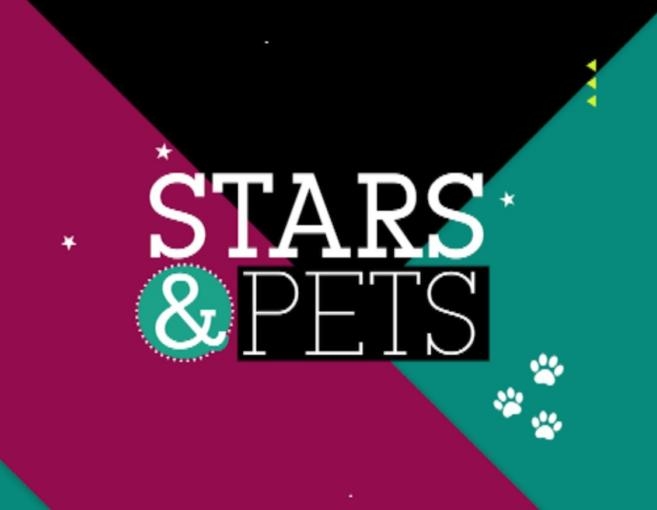 One تطلق برامجها الجديدة وهذه التفاصيل