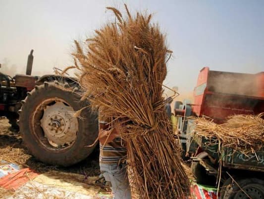احتياطي القمح يكفي مصر 4 أشهر ونصف