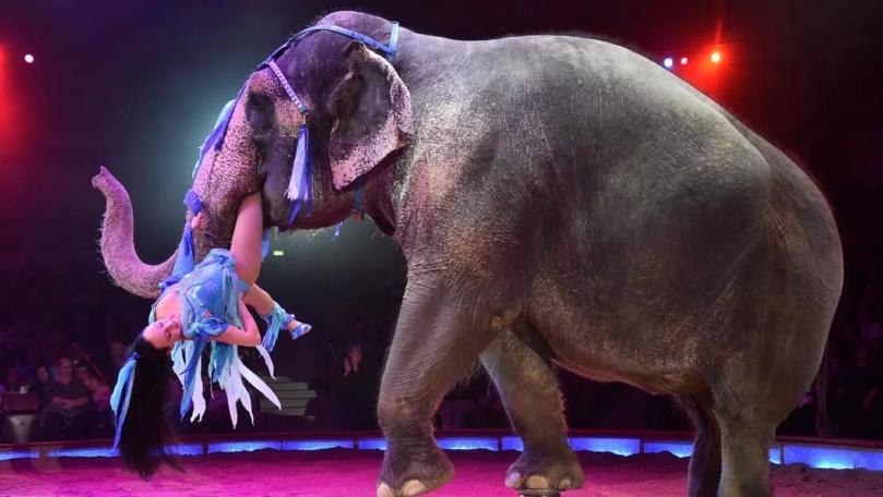 Main Highlight Image