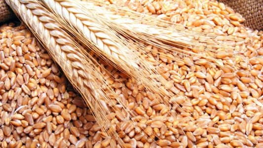 السودان سيحرّر سعر القمح في 2018