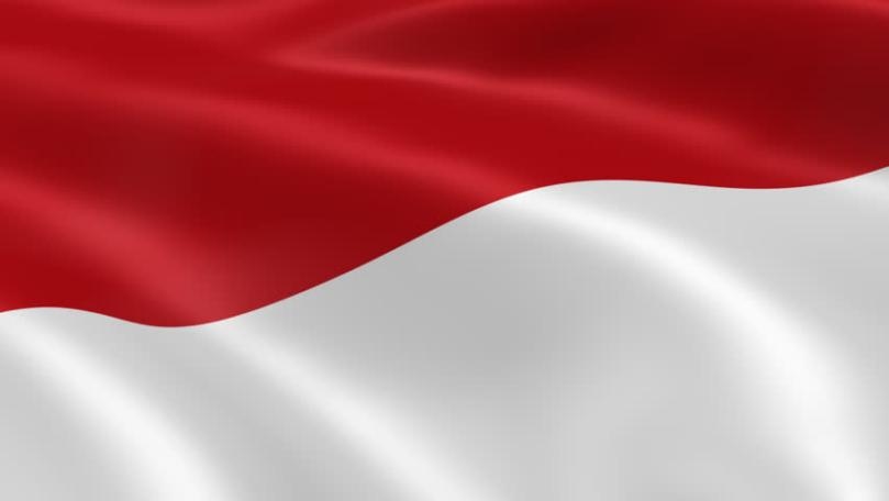 Indonesian police probe foreign 'orders' for child pornography