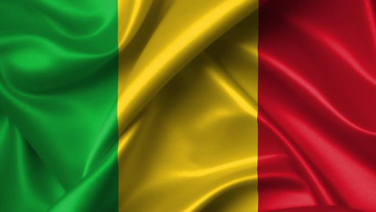 تفريق تظاهرة تنديد بالوجود العسكري الفرنسي في مالي