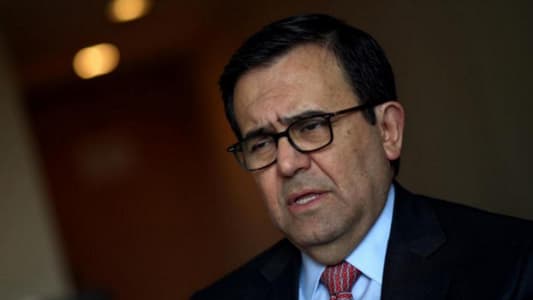 Mexico will never pay for Trump wall: Mexican economy minister