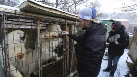 Olympian Visits South Korean Dog Farm: 'Dogs Are Friends Not Food'