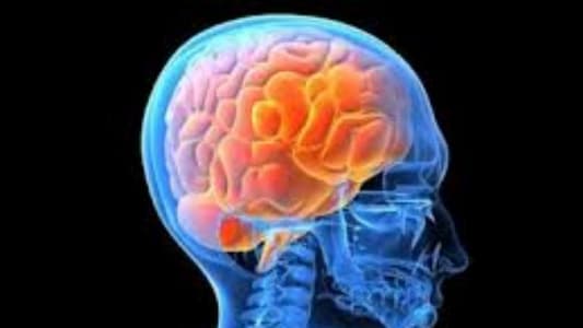 دراسة صادمة عن "مخ" الإنسان!
