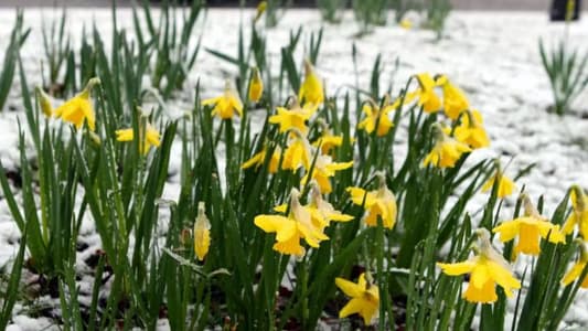 Five Things You Need To Know About St. David’s Day