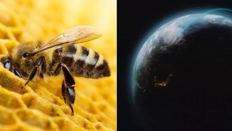 7 Things That Will Make You Feel Optimistic about the Future