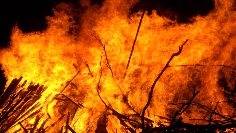 حريق يلتهم أشجار ليمون وقصب في الشيخطابا