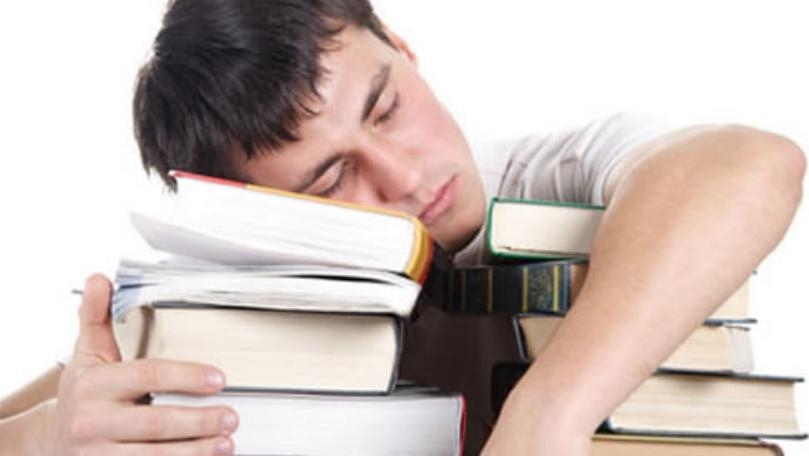 You Can Learn a Foreign Language in Your Sleep, Study Says