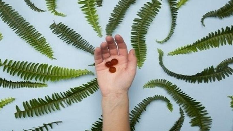 حلوى خاصة لحماية البشرة من أشعّة الشمس
