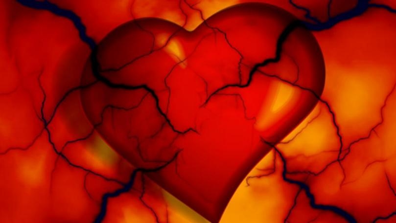 Main Highlight Image