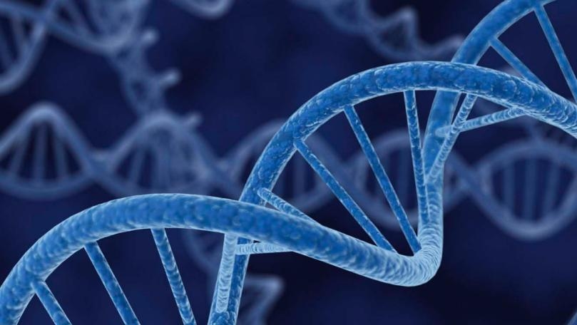 Main Highlight Image