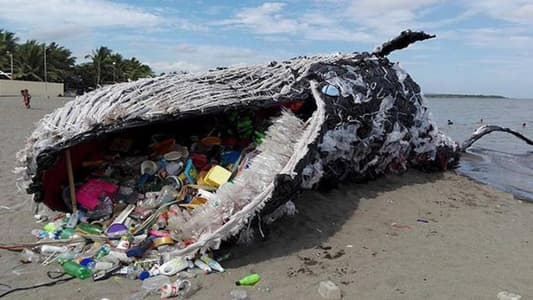 Yet Another Dead Whale Is Grave Reminder Of Our Massive Plastic Problem