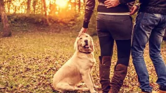 Dogs Make You Look More Attractive, Research Finds