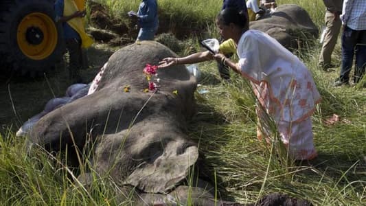 Photos: Four Elephants Killed by Train While Crossing Rail Tracks