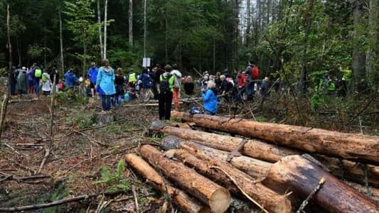 Poland broke law with logging in ancient forest, top EU court says