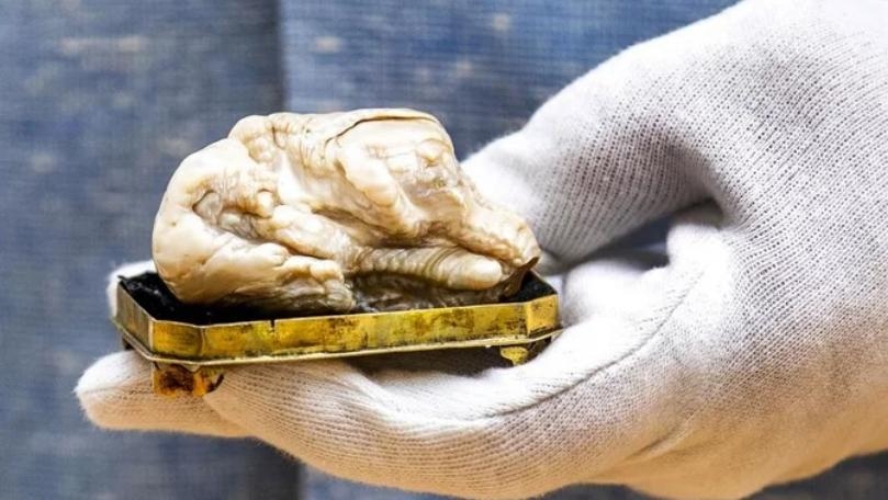 World’s largest freshwater pearl goes for 320,000 euros