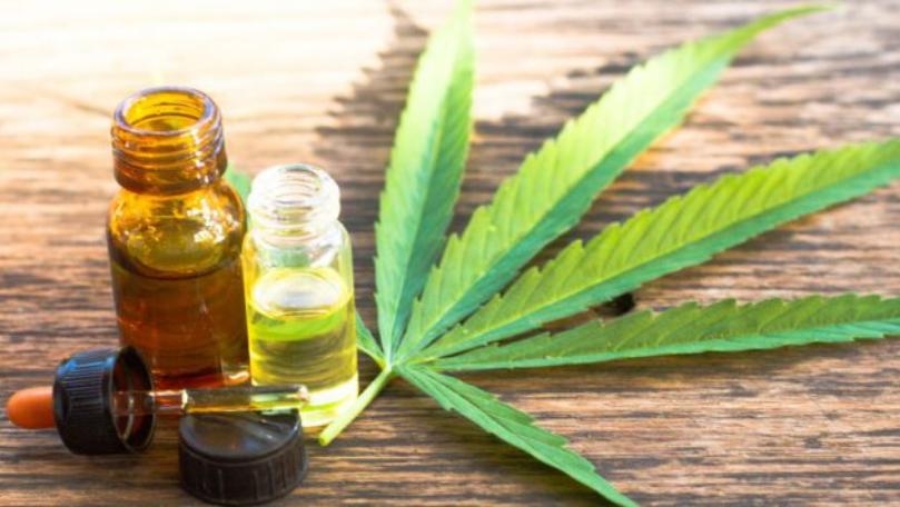 Marijuana May Help Cure Eczema, According to Researchers