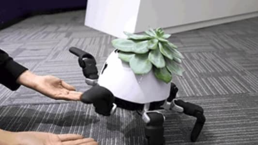 روبوت لتربية النباتات في البيت!