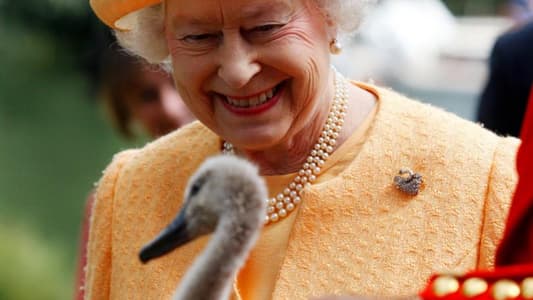 الملكة إليزابيث تحصي البجع!