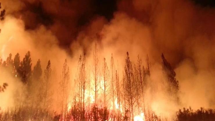 Somebody Actually Rented This Studio With a Toilet in Its Kitchen