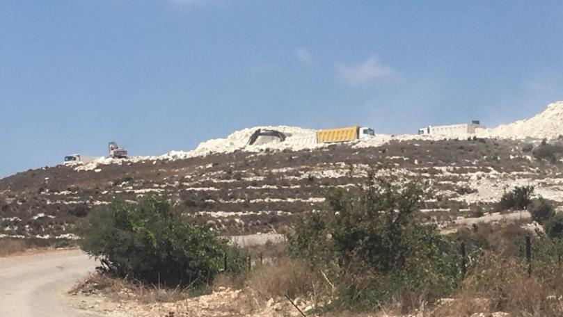 Scientists Reveal Secrets of Oldest Known Animal