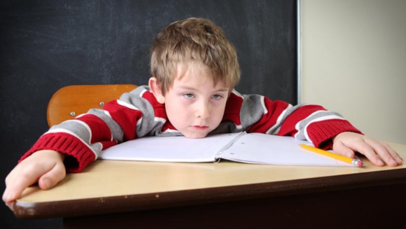 Main Highlight Image