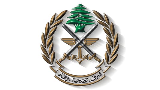 الجيش: تفجير ذخائر في محيط ميس الجبل