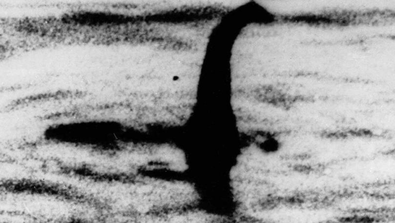 Photos: Tourist Believes She Took Photo of Legendary Monster