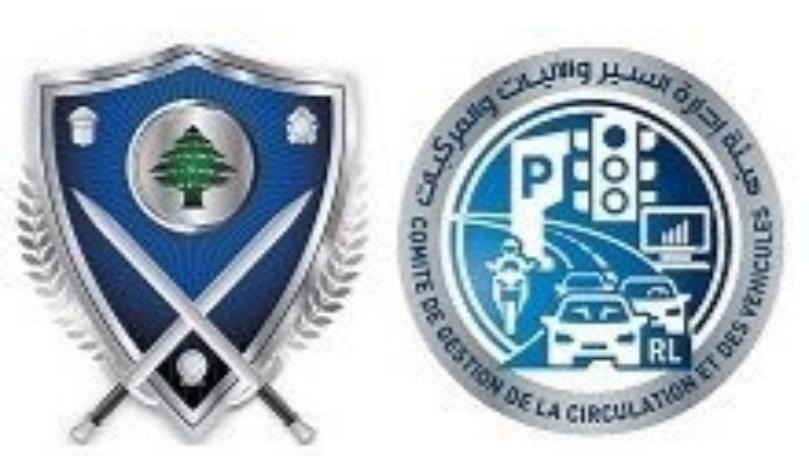 Chinese Researchers Claim to Have Created the First ‘True’ Blue Rose