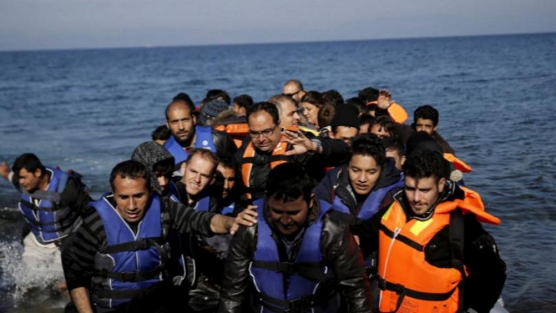 Syrian swimmer who saved refugees arrested in Greece - lawyer
