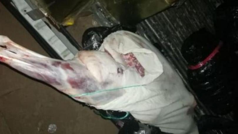 فنانة عربية جثّة وحيدة في منزلها