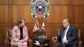 Baissari meets Swedish Ambassador