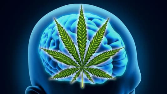 Marijuana May Be Weapon Against Brain Aging, New Study Suggests 