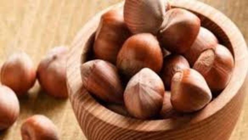 ما لا تعرفونه عن البندق...