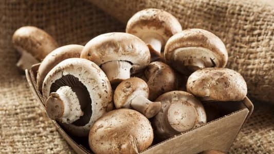 Mushrooms May Help You Fight Off Aging