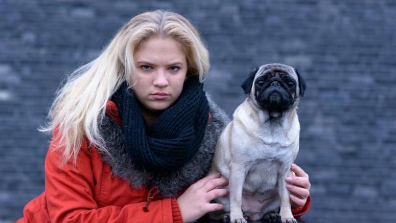 Dogs Really Do Look Like Their Owners, Study Says