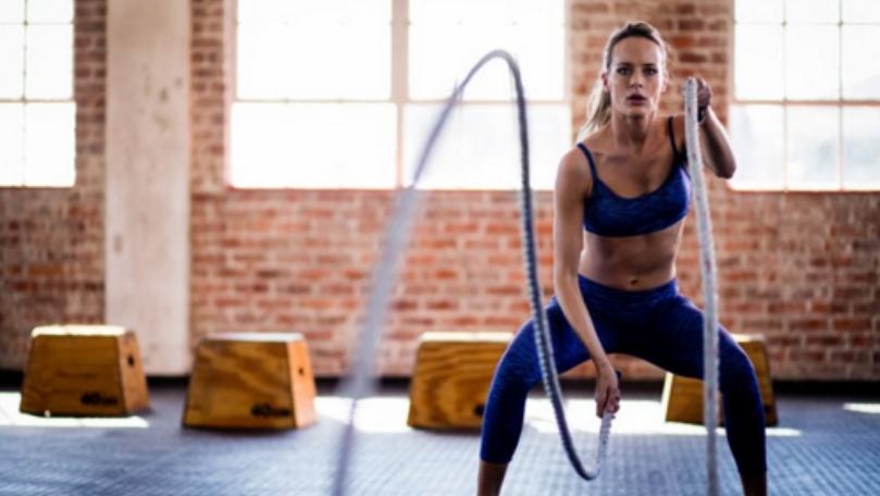 Main Highlight Image