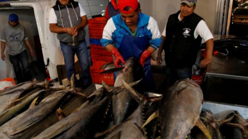 Mexico loses ten-year WTO battle over U.S. tuna labeling