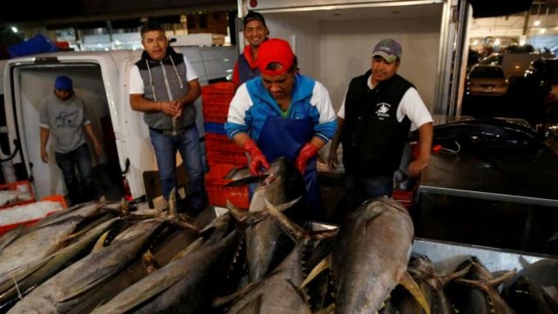 Mexico loses 10-year WTO battle over U.S. tuna labeling